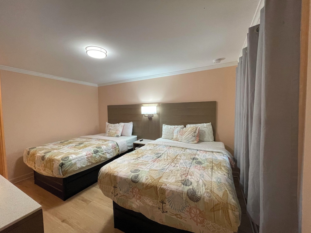 Studio Suite, 2 Queen Beds, Non Smoking photo 1