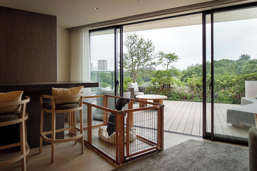 Suite (Spa Suite - Dog Friendly)