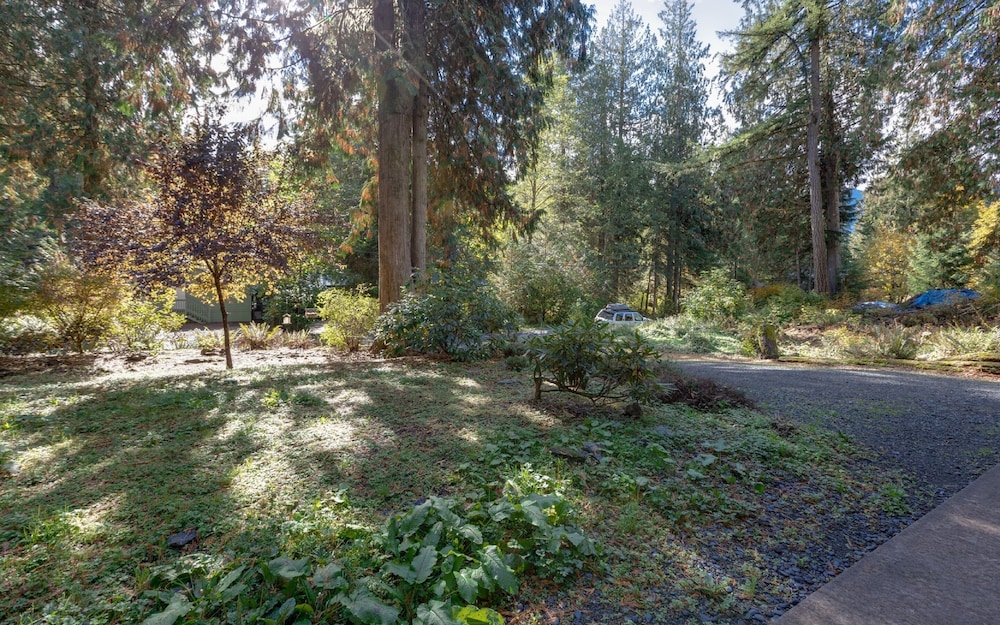 Mt Baker Lodging Cabin 61mbr - A Delightful 1 Story, 3 Bedroom, 2 Bath Cabin, Photo 24