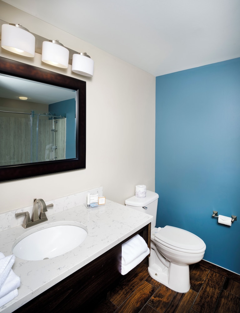 Suite, 1 King Bed photo 2
