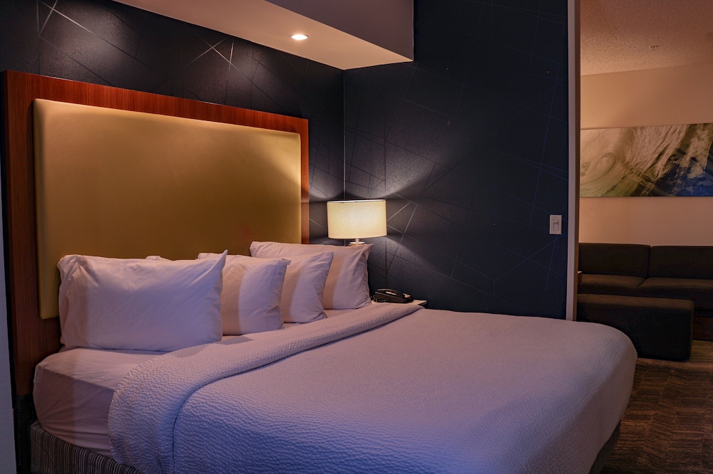 Suite, 1 King Bed with Sofa bed - Photo 2