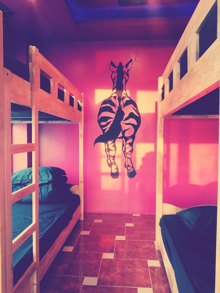 Shared Dormitory, Women only (6 persons) photo 1