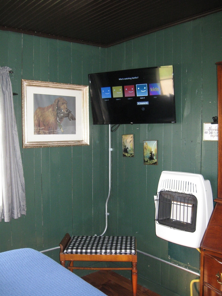 Cabin #5 The Ellie Mae photo 3