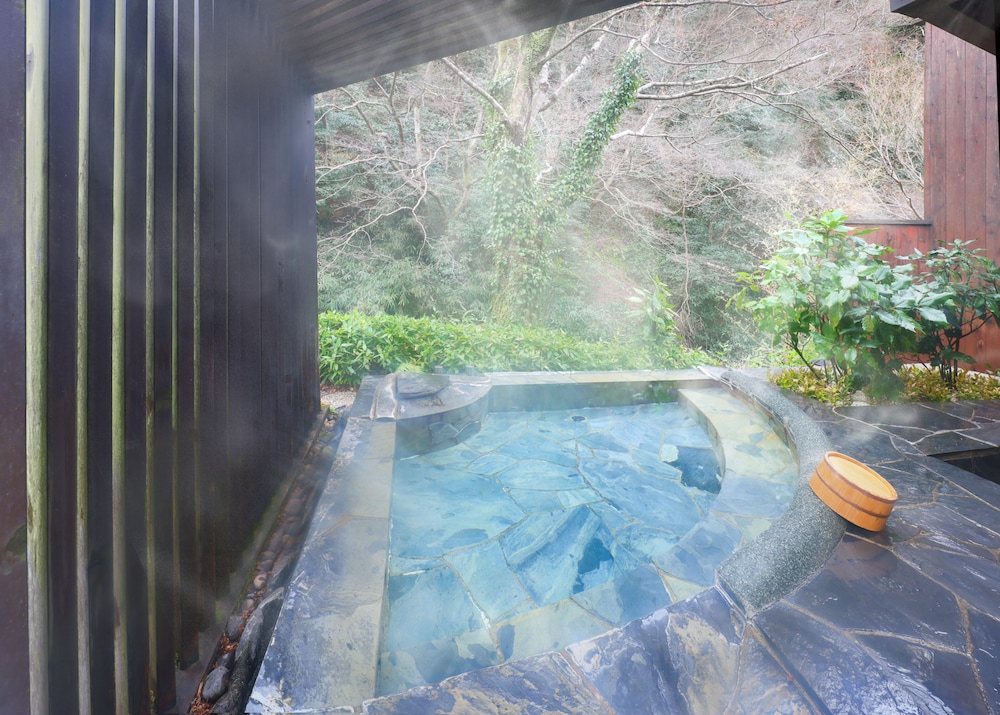 Homura Superior Room (Momiji) photo 3