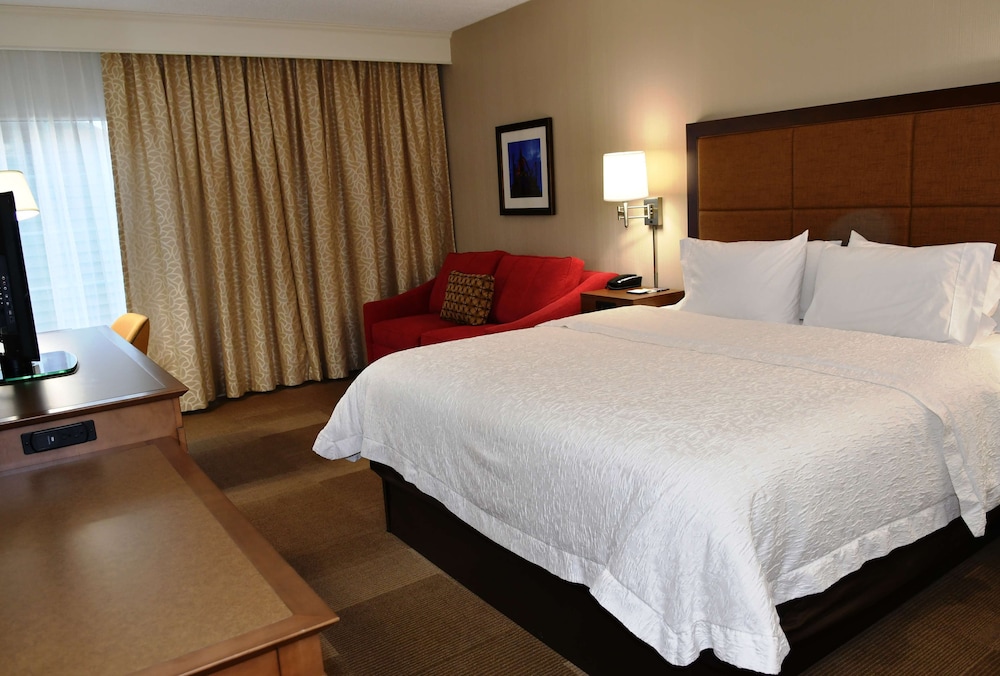 Suite, 1 King Bed - Photo 3
