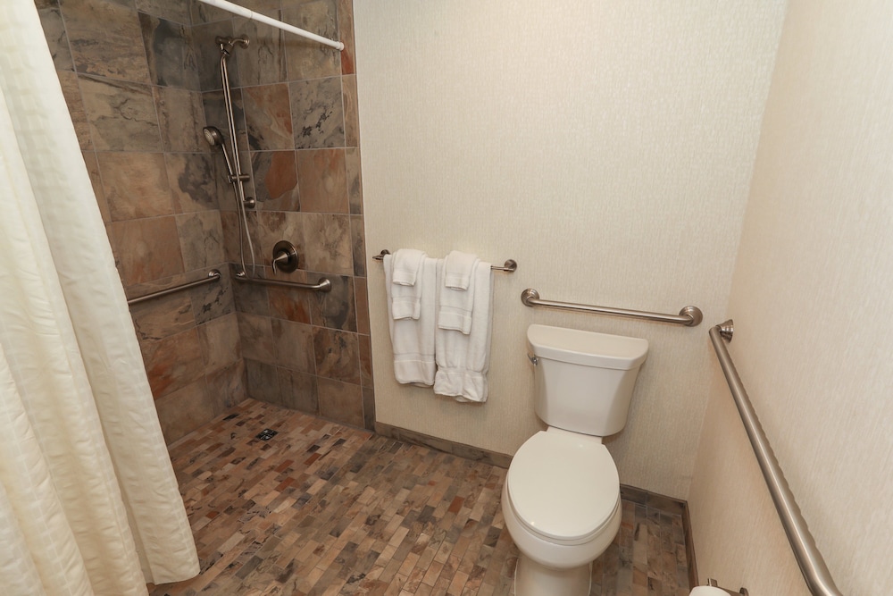 Room, 1 King Bed, Mobility Accessible (Alpine) - Photo 4