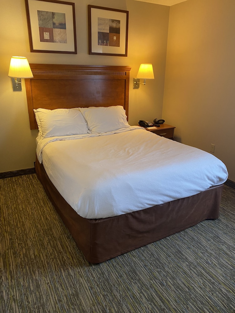 Studio Suite - Photo 1