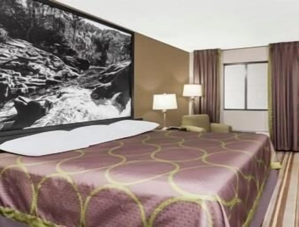 Standard Room, 1 King Bed, Accessible, Non Smoking (Mobility Accessible) - Photo 5