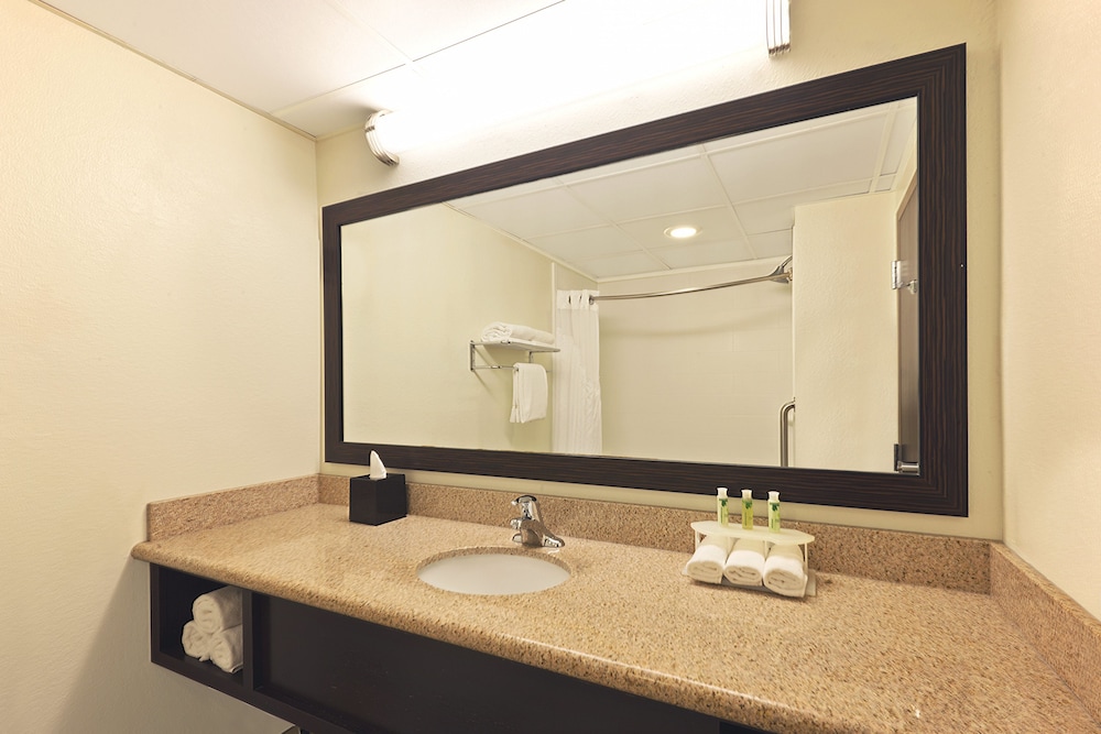 Suite, 1 King Bed - Photo 4