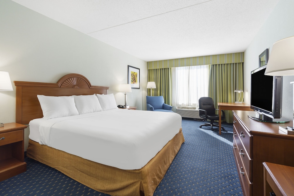 Business King Room photo 1