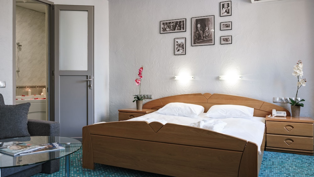 Superior Double Room photo 2