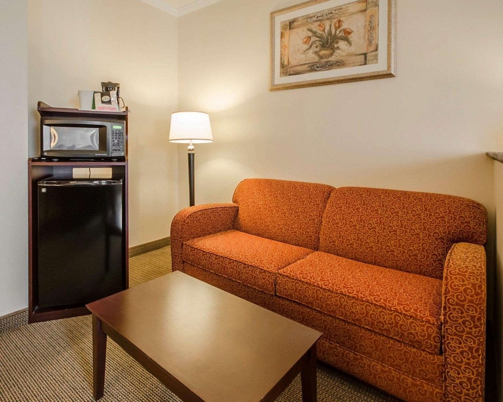 Suite, 1 King Bed with Sofa bed, Non Smoking - Photo 2