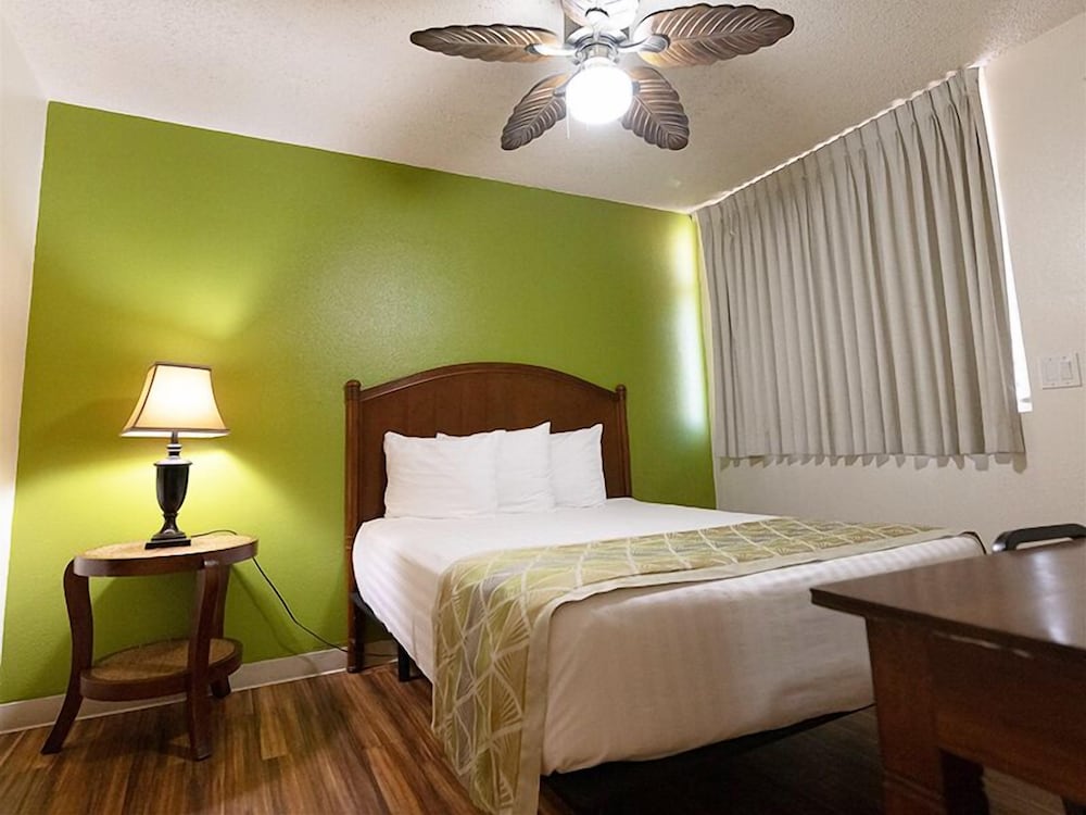 Quadruple Room - Photo 5