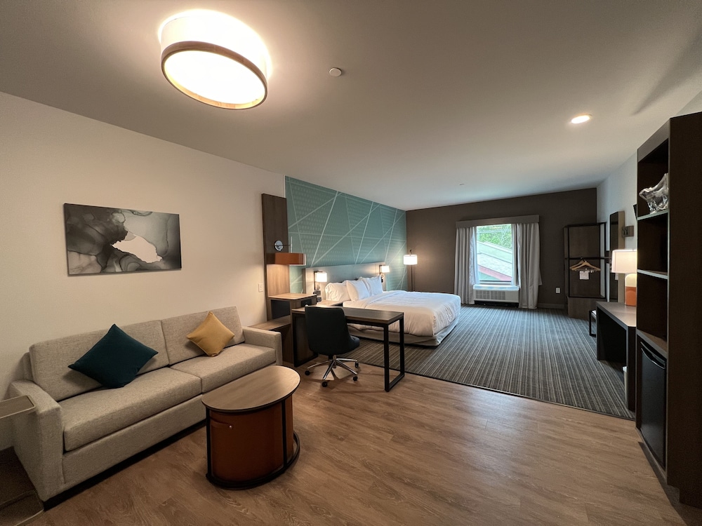 Suite, 1 King Bed photo 3