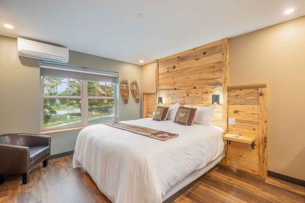 Studio, 1 Bedroom