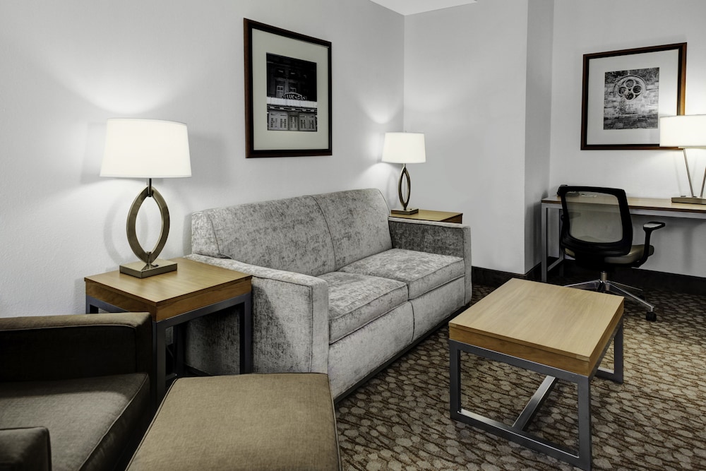 Suite, 1 Queen Bed photo 3