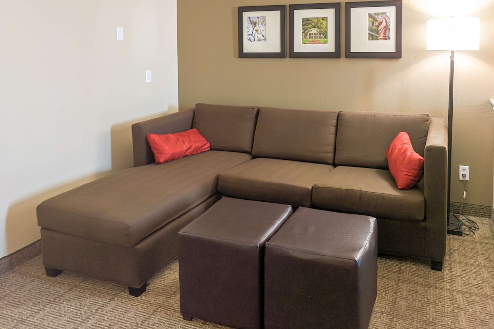 Studio Suite, 1 King Bed with Sofa bed, Accessible, Non Smoking - Photo 4