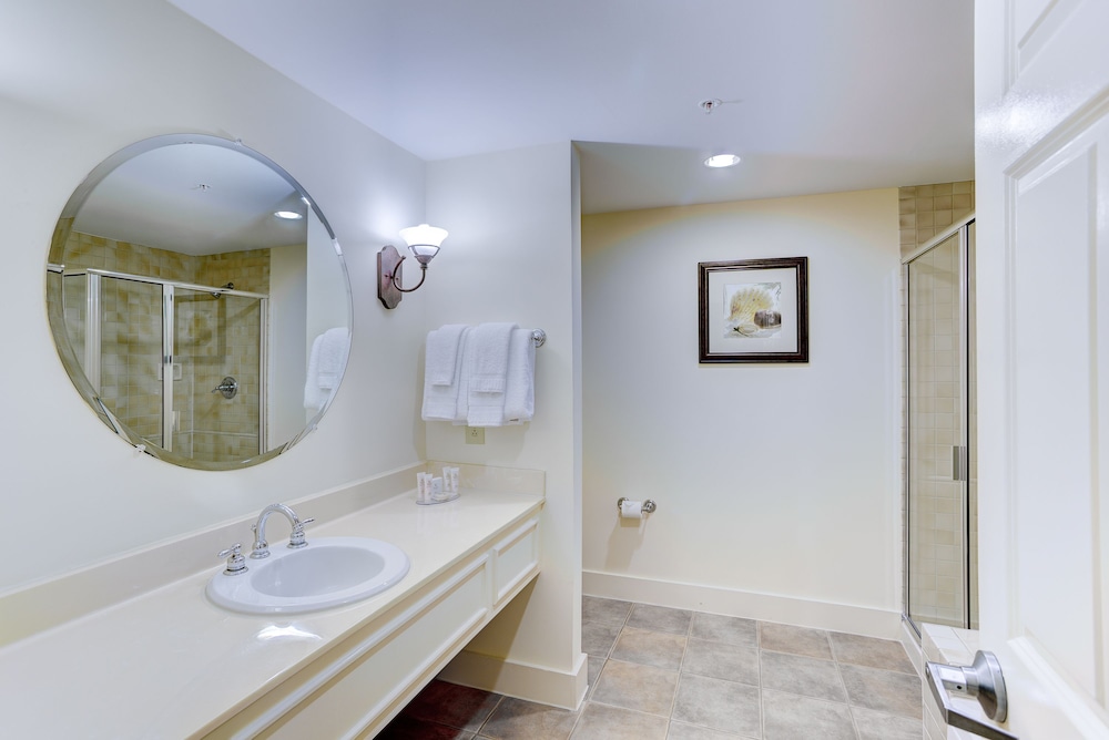 1 Bedroom photo 3