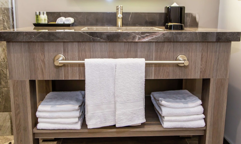 Room, 1 Queen Bed, Accessible (Roll-in Shower) - Photo 5
