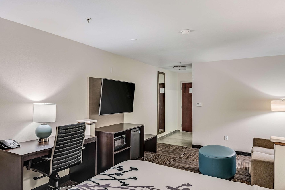 Studio Suite, 1 King Bed, Non Smoking - Photo 13