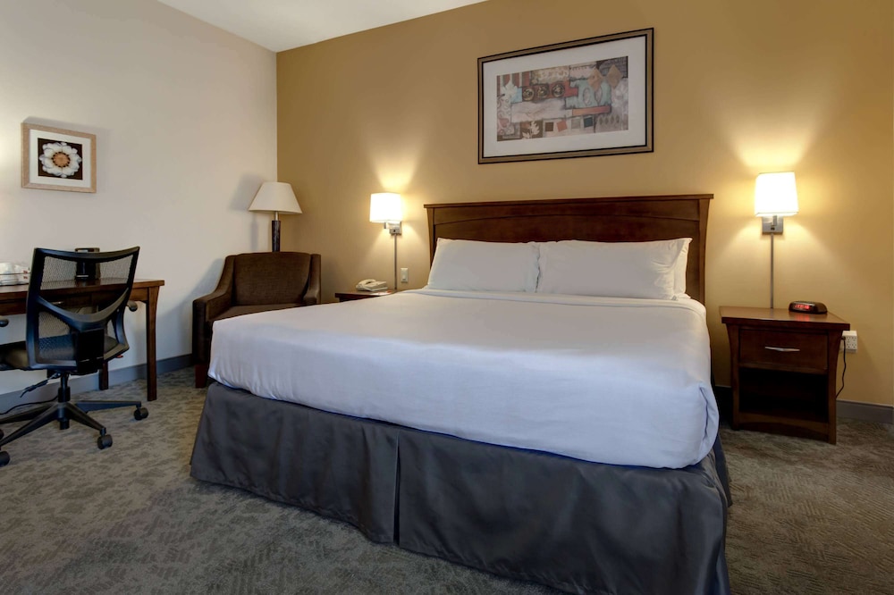 Business Room, 1 Queen Bed photo 1