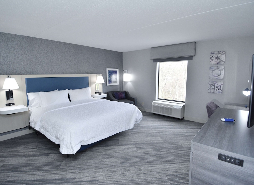 Room, 1 King Bed, Accessible (Roll-In Shower) photo 1