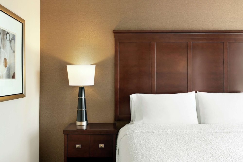 Suite, 1 King Bed, Accessible, Non Smoking (Roll-in Shower)