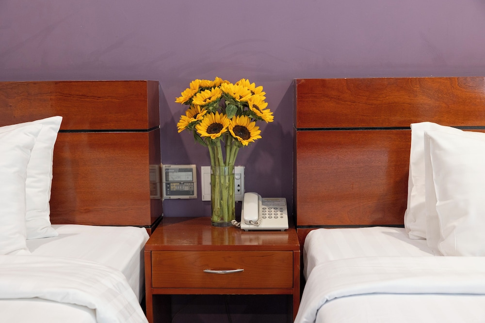 Deluxe Twin Room photo 3