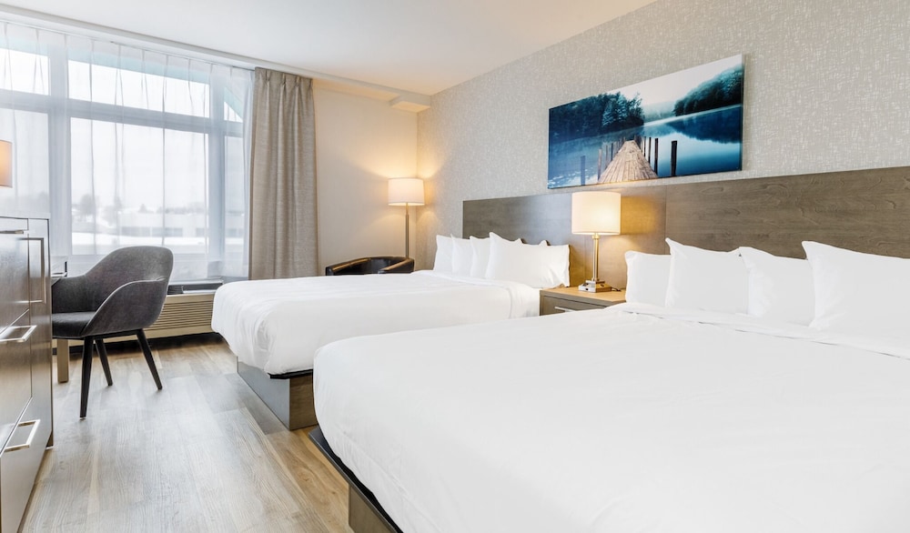 Executive Room, 2 Queen Beds photo 2