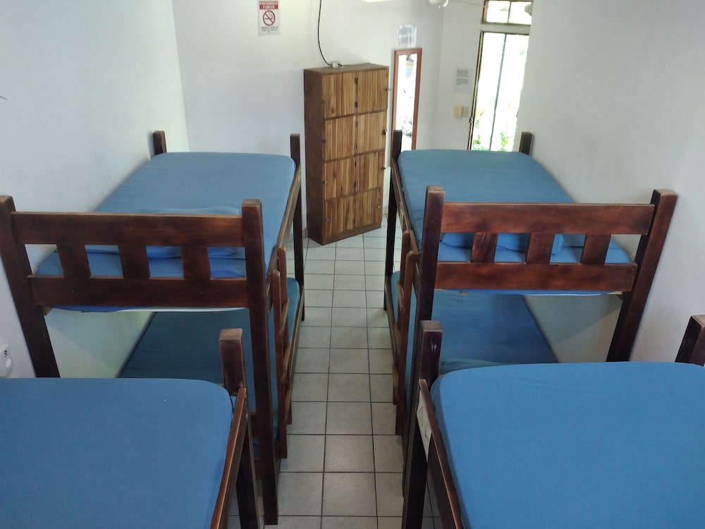 Basic Shared Dormitory photo 1