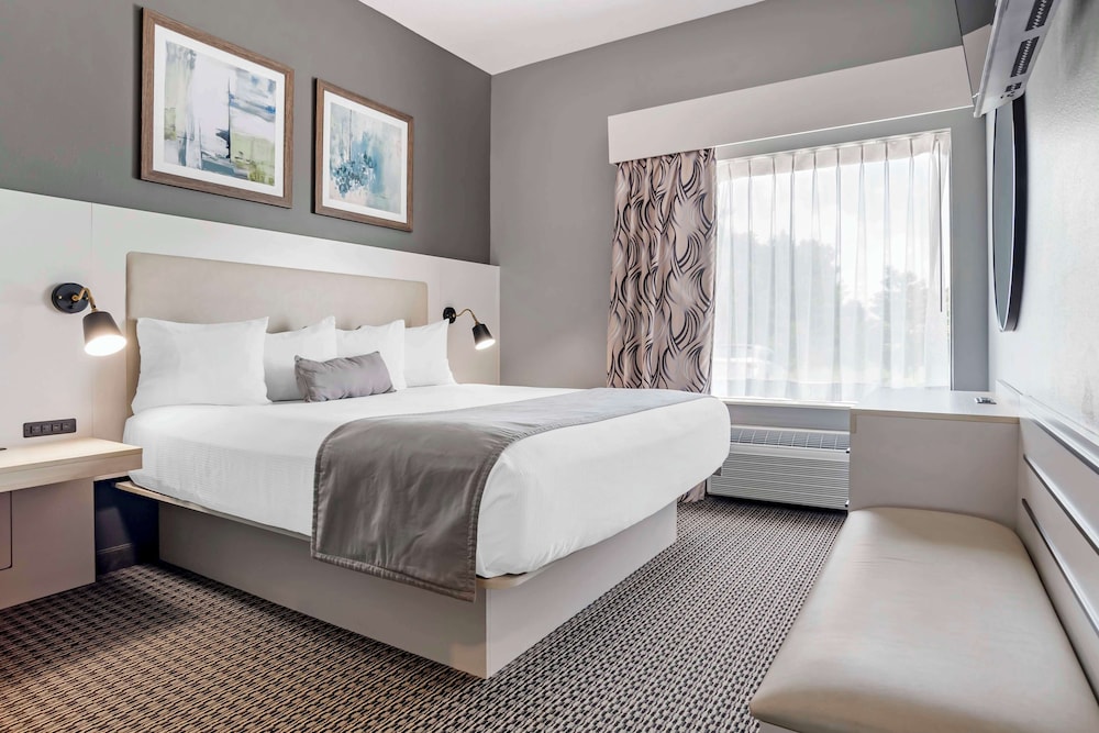 Suite, 1 King Bed, Non Smoking (with Sofabed) photo 1