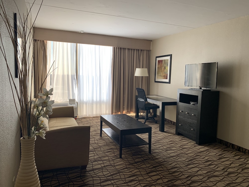 Suite, 1 King Bed, Non Smoking, Refrigerator & Microwave (with Sofabed) - Photo 6