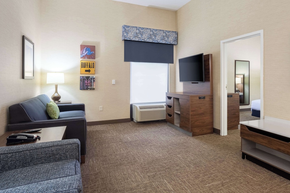 Suite, 1 King Bed, Accessible (Roll-in Shower)