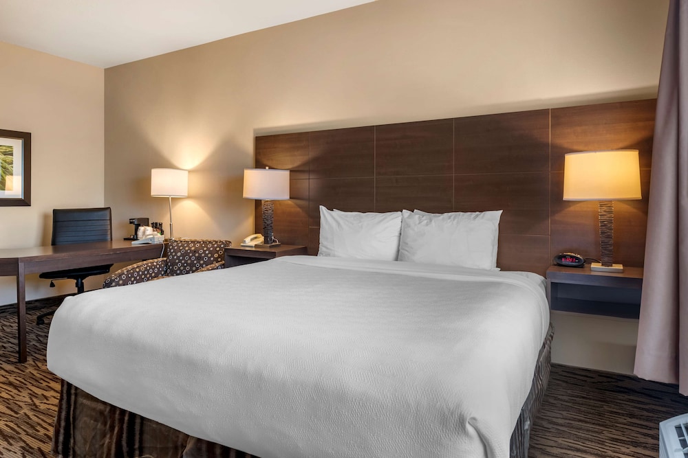 Suite, 1 King Bed, Non Smoking, Refrigerator & Microwave (Shower Only;with Sofabed)