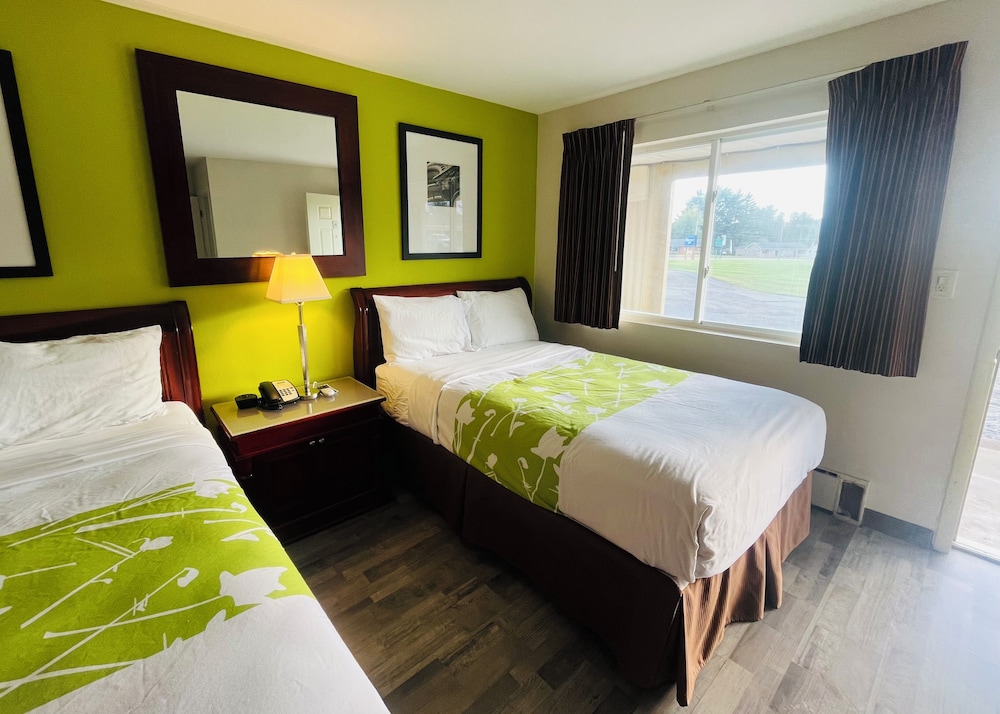 Standard Double Room, 2 Double Beds, Non Smoking
