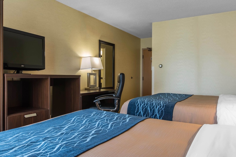 Comfort Care, Double Room, 2 Double Beds, Non Smoking - Photo 5