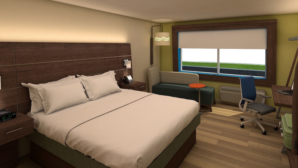 Suite, 1 King Bed photo 2
