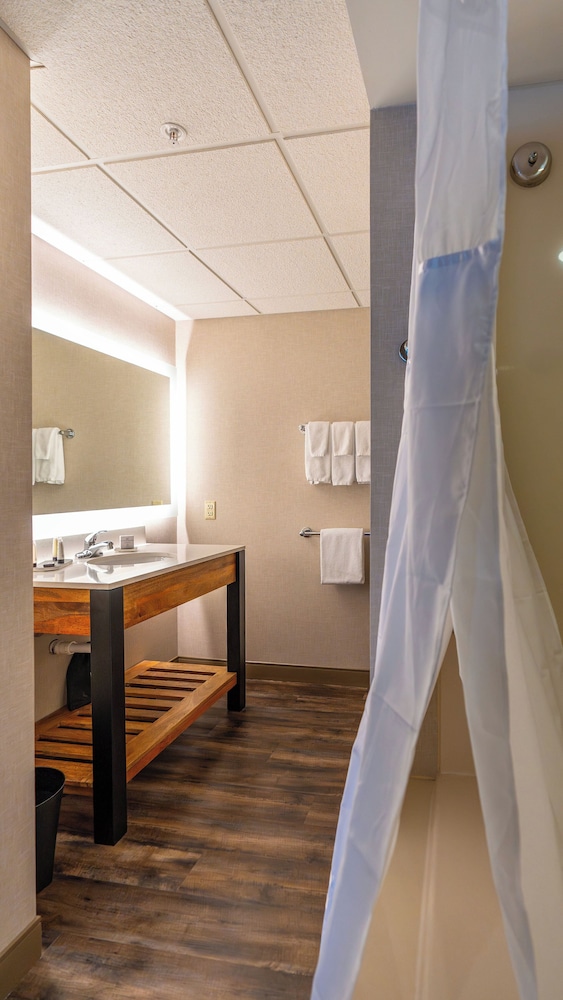 Executive Studio Suite, 1 Bedroom - Photo 7