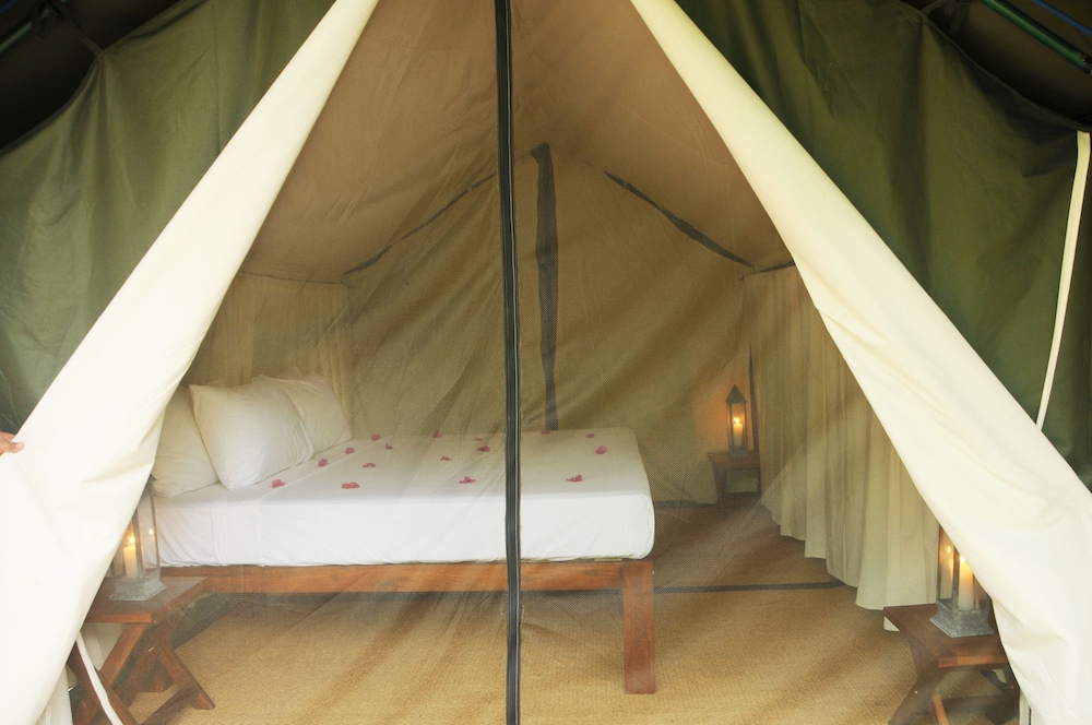 Tent photo 3