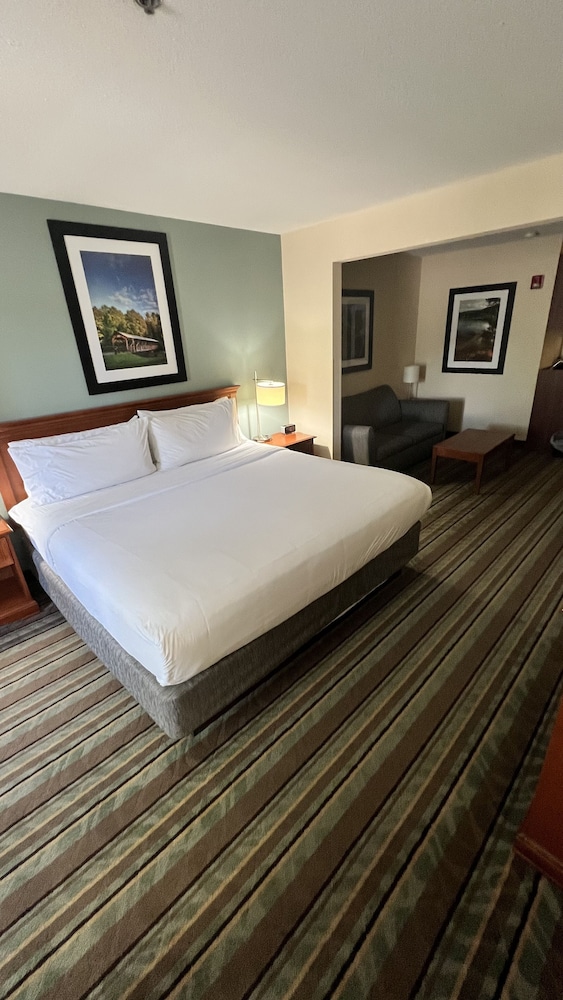 Executive Room photo 1