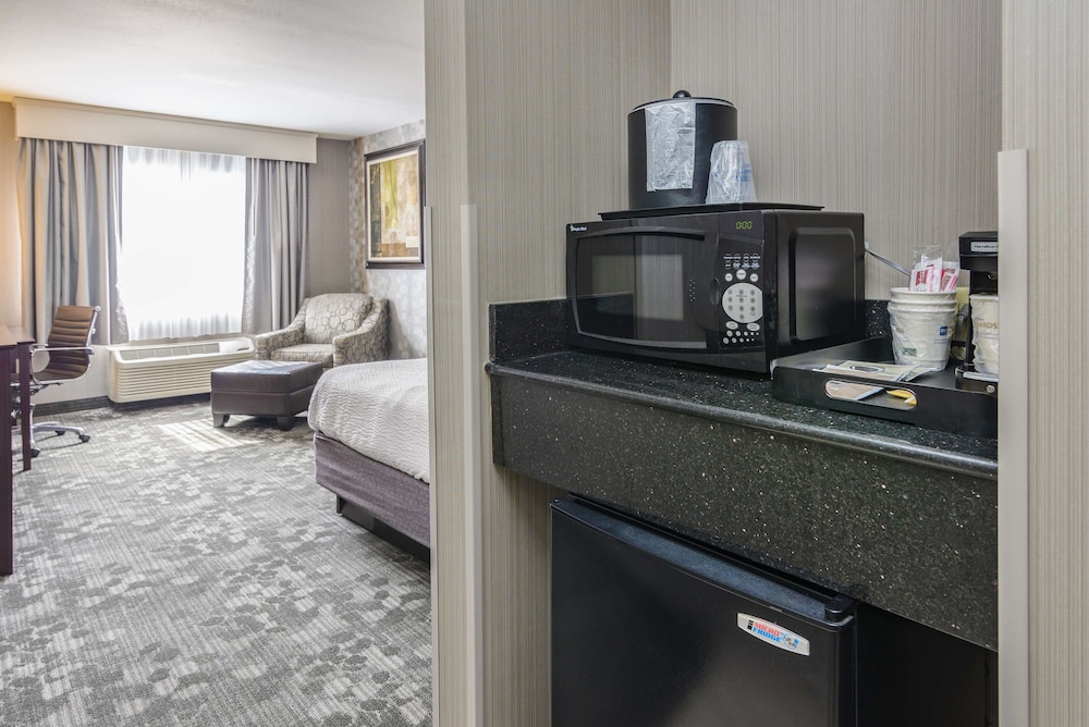 Suite, Multiple Beds, Non Smoking, Refrigerator & Microwave (with Sofabed) - Photo 7