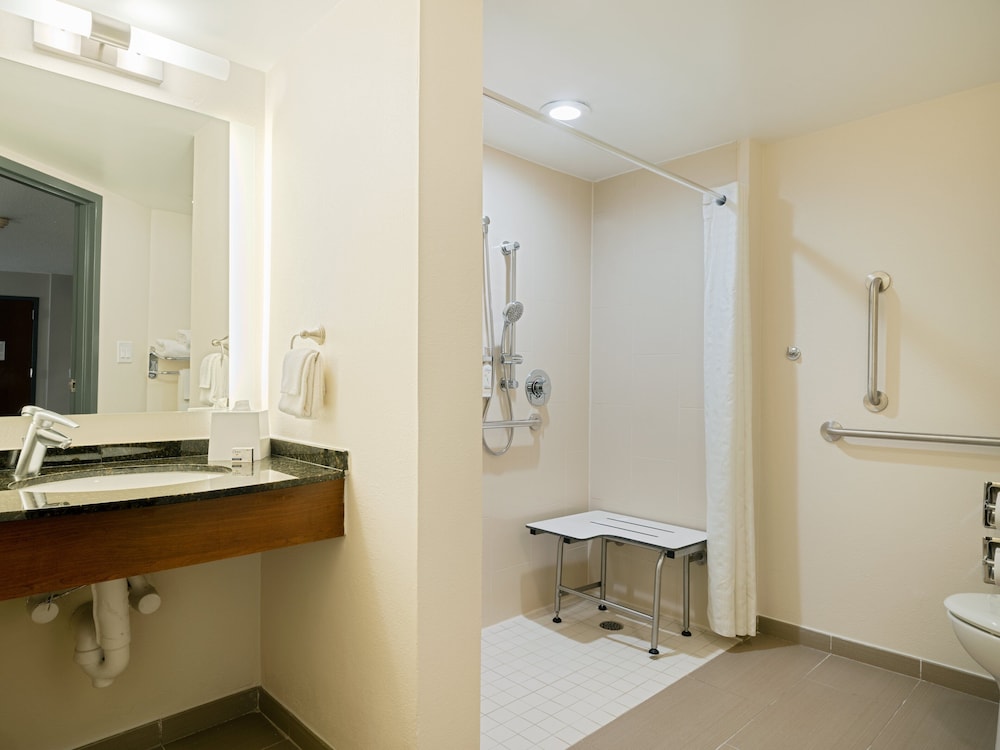 Studio, 1 King Bed, Roll-in Shower (Mobility Accessible) - Photo 7