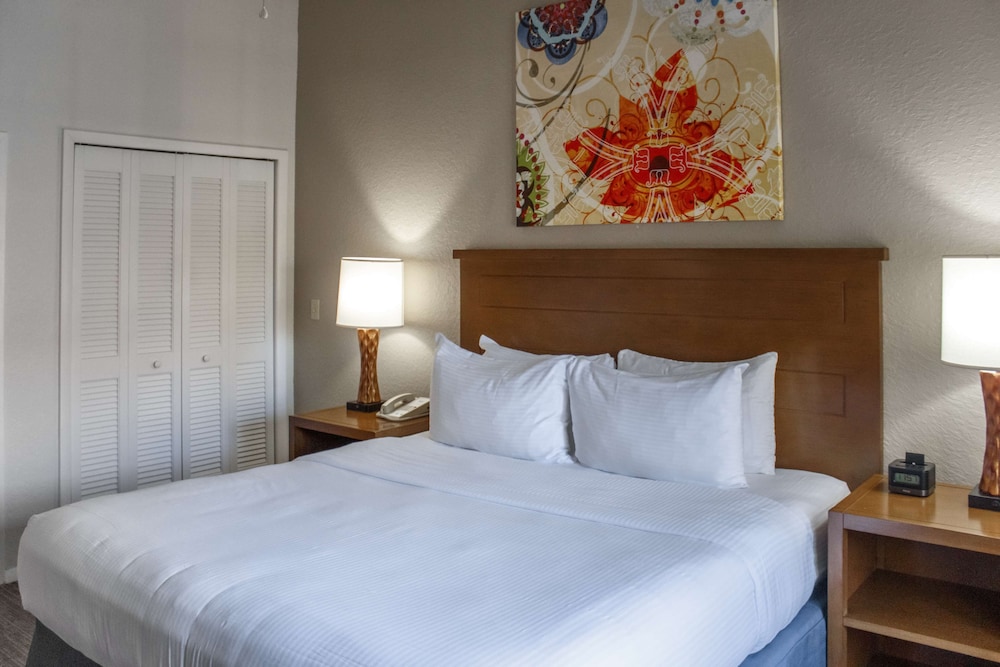 Room, 1 King Bed, Accessible (Mobility & Hearing, Roll-in Shower) - Photo 1