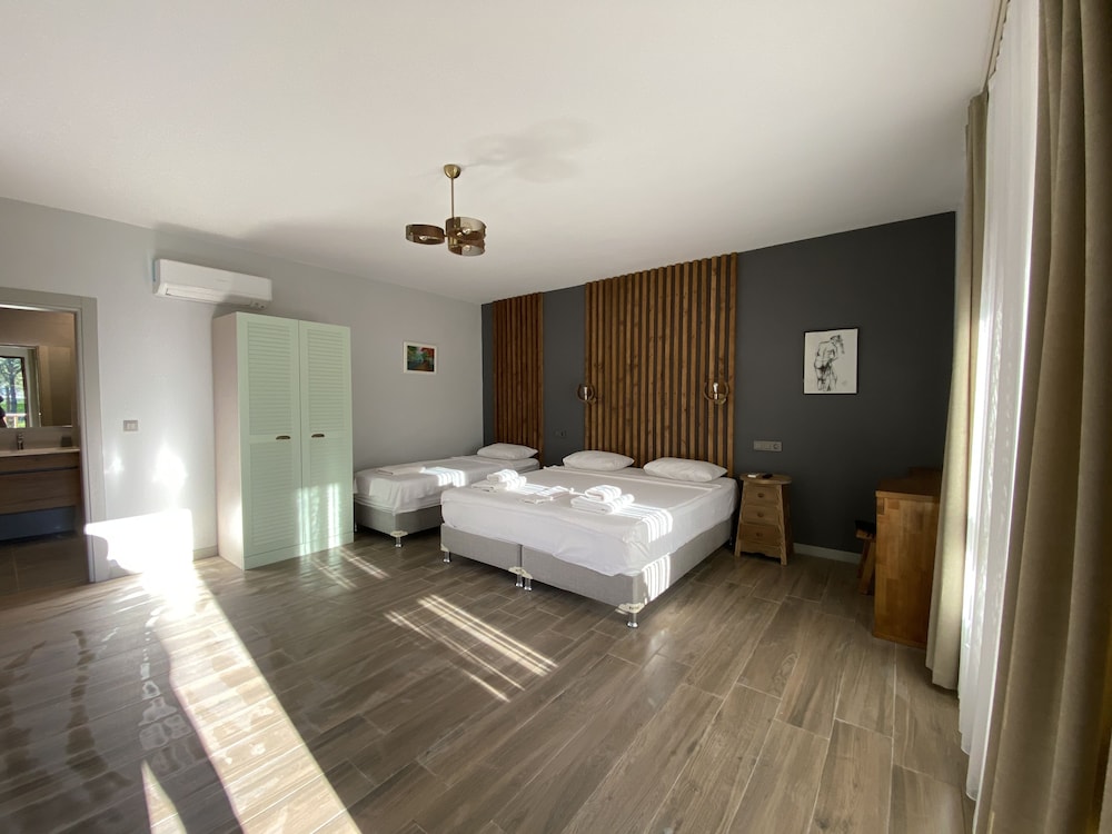 Deluxe Triple Room, Balcony, Garden View photo 1