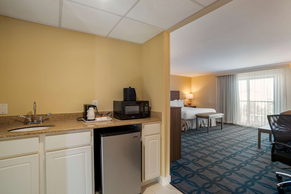 Standard Room, 1 King Bed, Non Smoking, Balcony (Shower Only;With Sofabed) photo 2