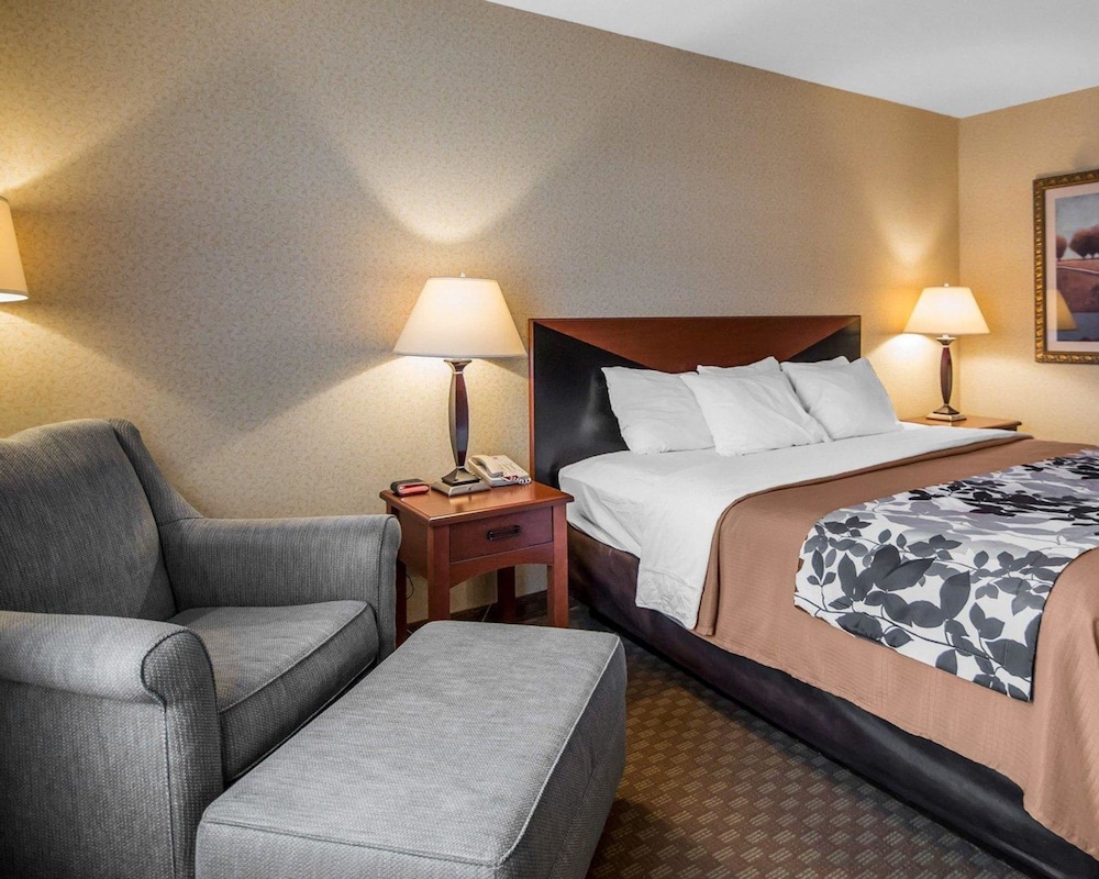 Standard Room, 1 King Bed, Non Smoking - Photo 4