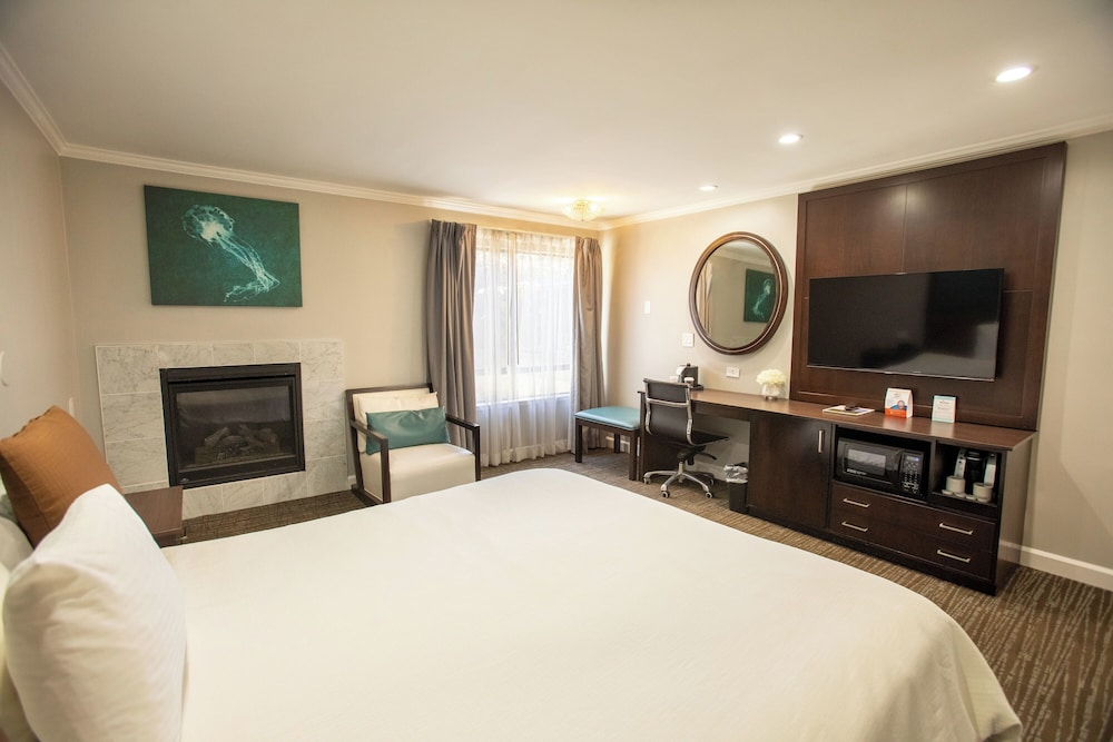 Room, 1 King Bed, Non Smoking, Fireplace