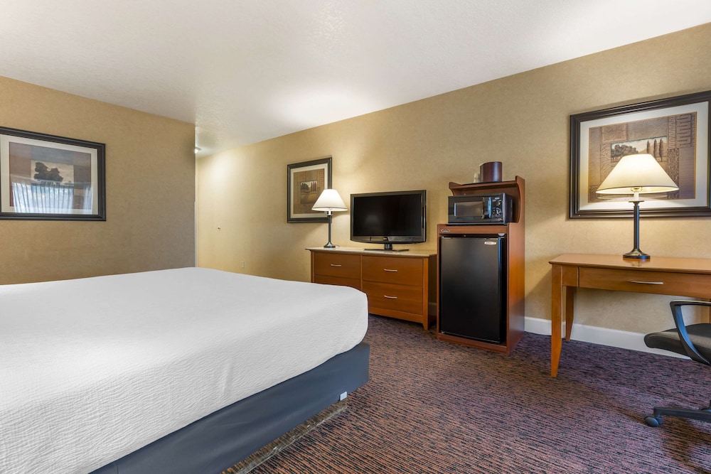 Business Room, 1 King Bed, Non Smoking, Refrigerator & Microwave - Photo 2