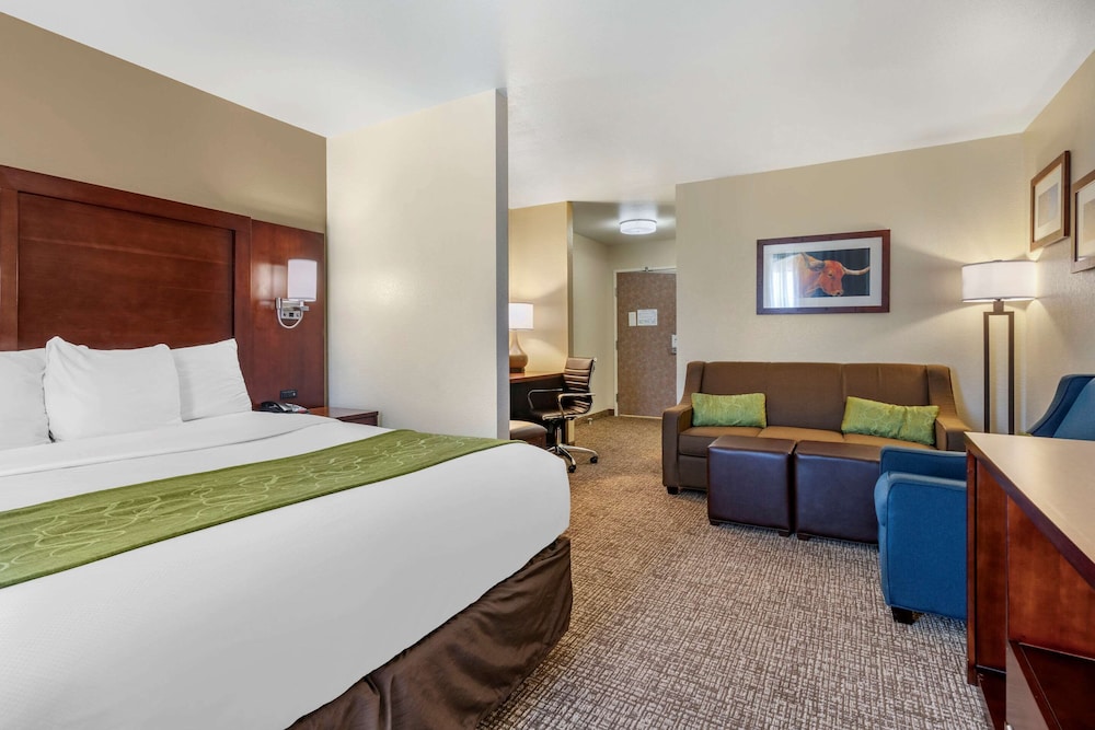 Suite, 1 King Bed with Sofa bed, Accessible, Non Smoking photo 1