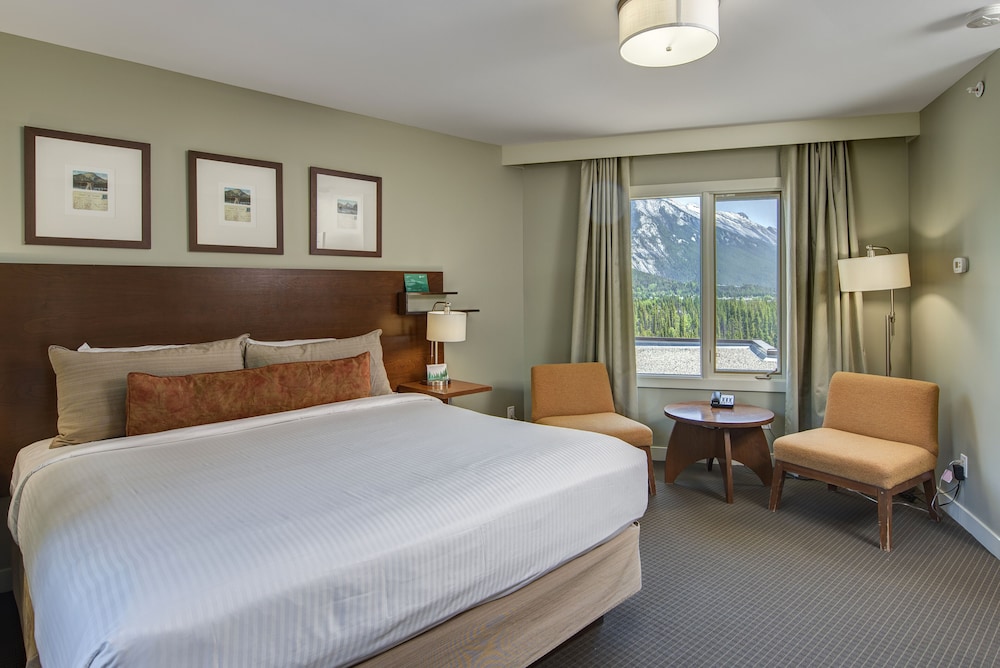 Panoramic Suite - Photo 10